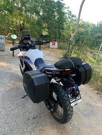 Transalp 750 2025