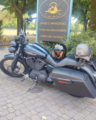 Harley Davidson sportster 1200 custom