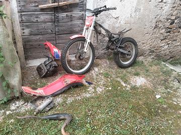 Trial fantic club man 50