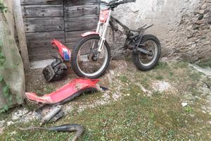 Trial fantic club man 50