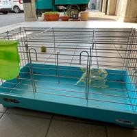 Gabbia per conigli
