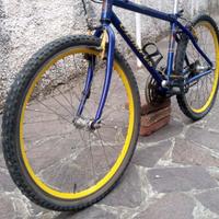 Mountain Bike ragazzo