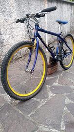 Mountain Bike ragazzo
