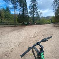Bici grand Canyon monocorona 29