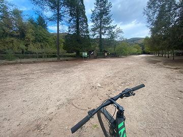 Bici grand Canyon monocorona 29