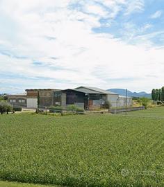 Capannone 900 mq a cervarese pd
