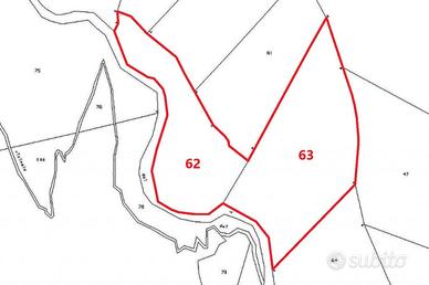 Quota 1/3 di terreno boschivo in montagna