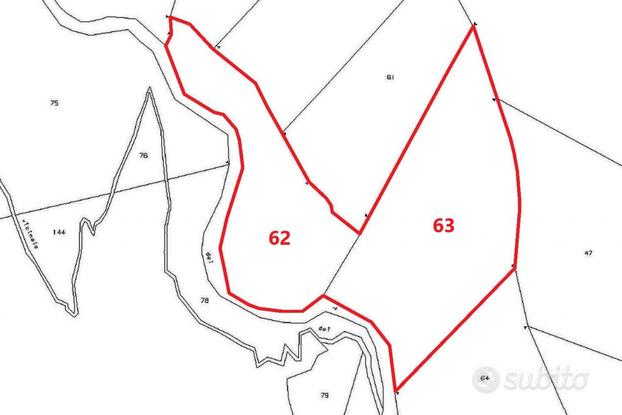 Quota 1/3 di terreno boschivo in montagna