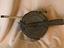 Immagine 6