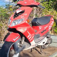 Scooter peugeot 206 wrc