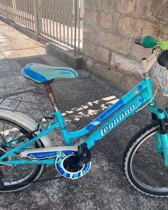 Bicicletta