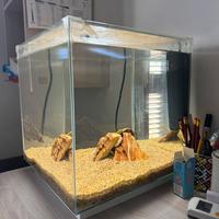 Acquario newa 50 litri