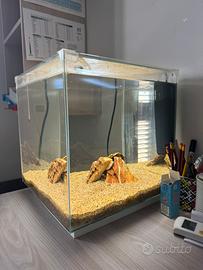 Acquario newa 50 litri
