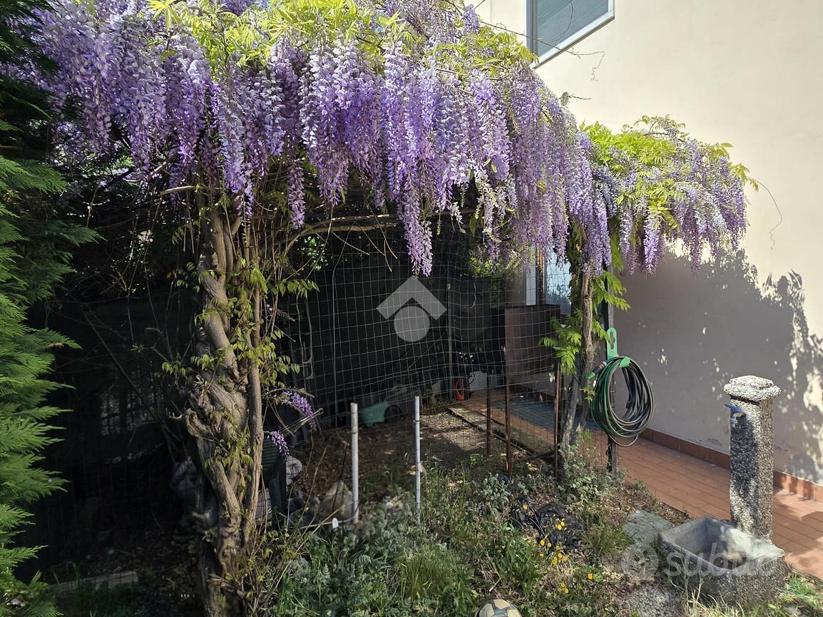 Apartment in Castel d'Azzano, Scopelletta - Vista 3