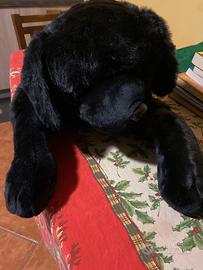 Peluche