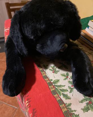 Peluche
