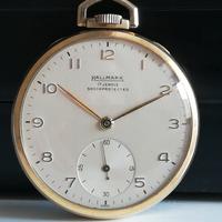 Orologio da taschino Hallmark 