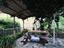 Immagine 24