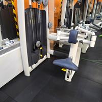 Technogym Upper back