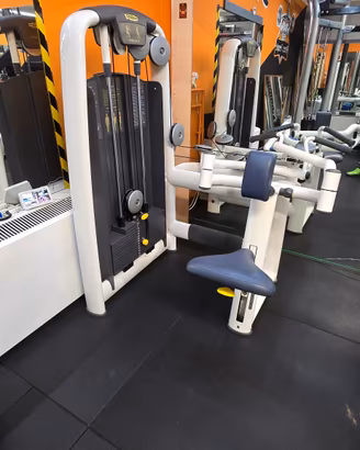 Technogym Upper Back - Linea Selection 