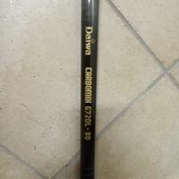 canna da pesca fissa Daiwa 8 mt