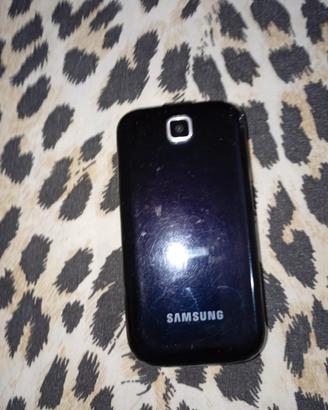 coppia di telefonini Samsung 