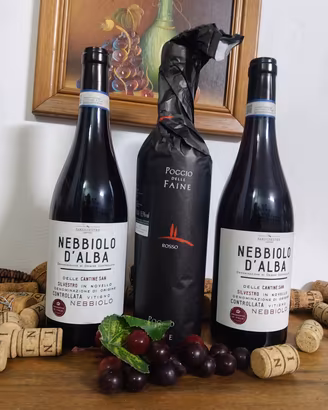 2 Nebiolo d'Alba più 1 poggio delle Farine 