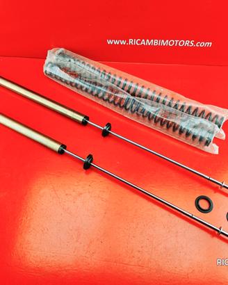 CARTUCCE MOLLE FORCELLA BMW F800GS