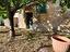Immagine 13