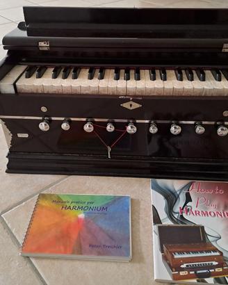 Harmonium usato