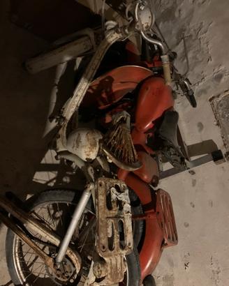 Motom 48 e lambrettino
