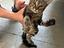 Immagine 1