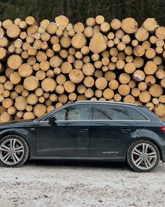 Portellone Bagagliaio + Altro. Audi A3 2012/2019