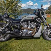 Harley Davidson v-rod VRSCR custom 