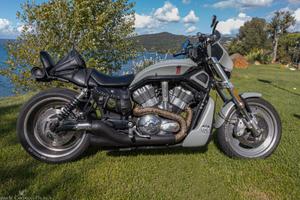 Harley Davidson v-rod VRSCR custom 