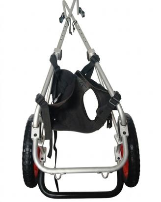 Carrellino cani disabili