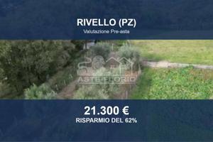 Immobile in asta di 13031 m² a Rivello