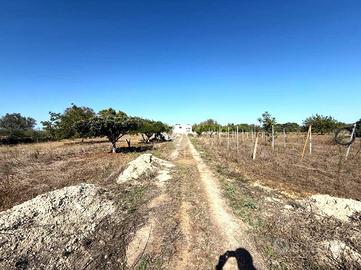 CASA INDIPENDENTE A MESAGNE