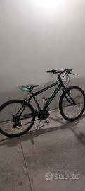 bicicletta Girardengo 24"
