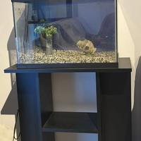 Acquario completo