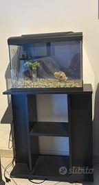 Acquario completo