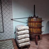 TORCHIO 