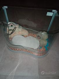 Acquario tartaruga