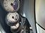 Immagine 12