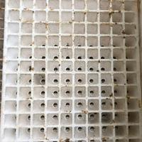Alveoli per la semina