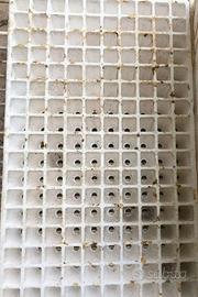 Alveoli per la semina