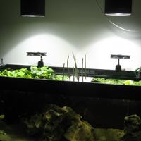 coppia lampade HQI Dupla per acquario