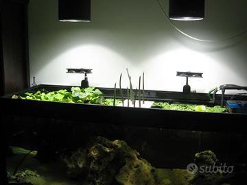 coppia lampade HQI Dupla per acquario