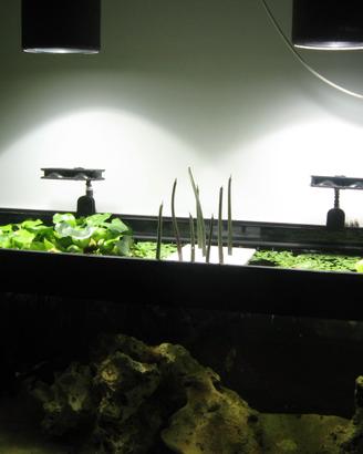 coppia lampade HQI Dupla per acquario
