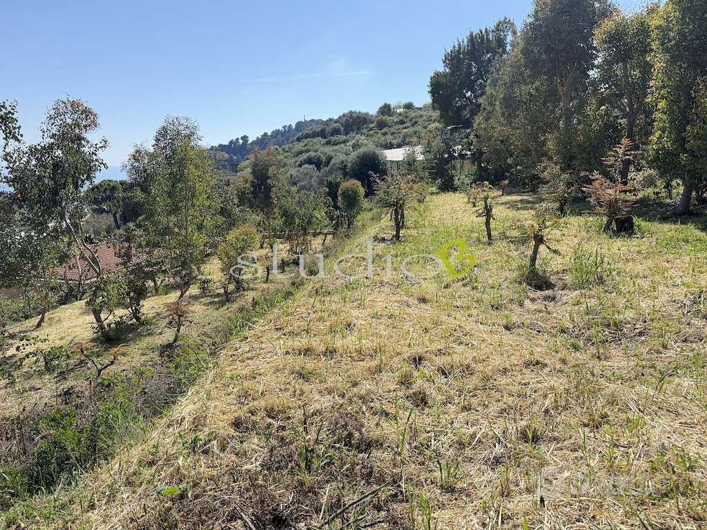 Terreno Edificabile a Bordighera - Vista 3